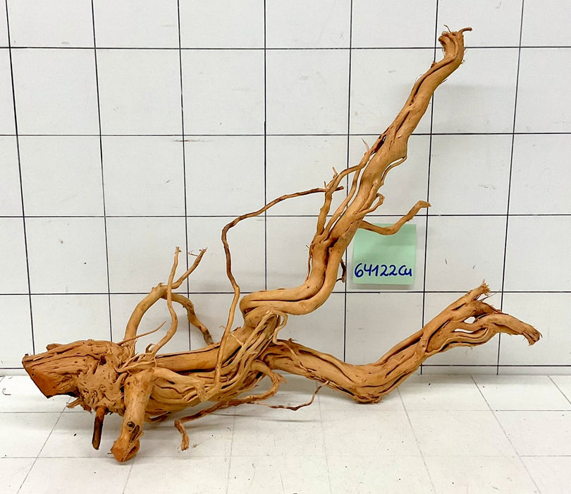 64122Cu - Curlwood Wurzel Holz