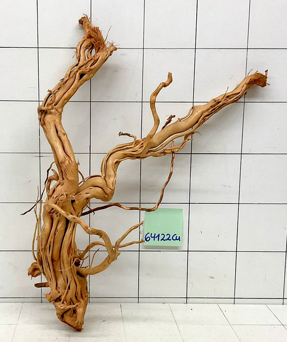 64122Cu - Curlwood Wurzel Holz