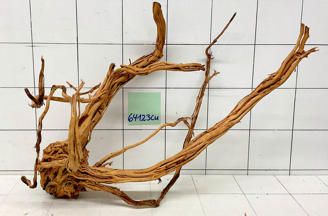 64123Cu - Curlwood Wurzel Holz