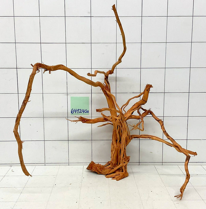 64124Cu - Curlwood Wurzel Holz