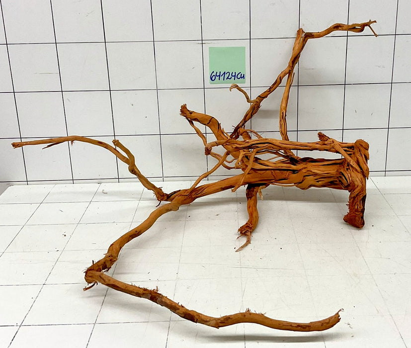 64124Cu - Curlwood Wurzel Holz