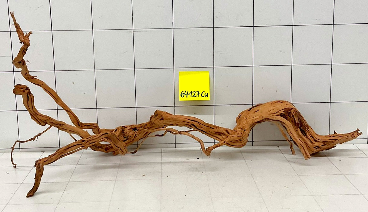 64127Cu - Curlwood Wurzel Holz