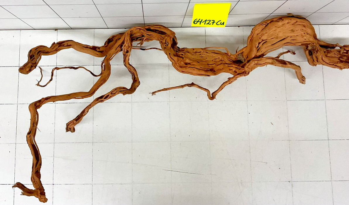 64127Cu - Curlwood Wurzel Holz
