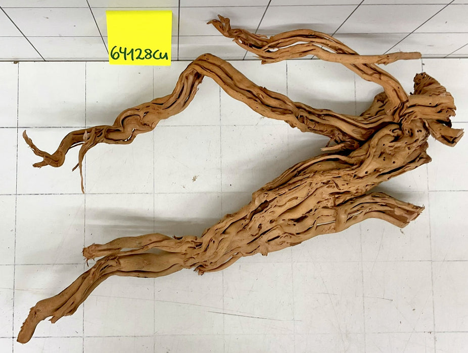 64128Cu - Curlwood Wurzel Holz