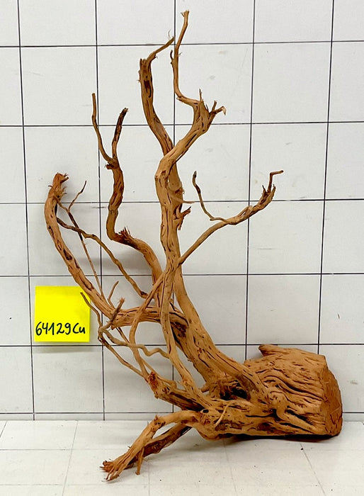 64129Cu - Curlwood Wurzel Holz