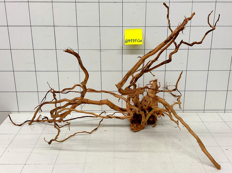 64131Cu - Curlwood Wurzel Holz