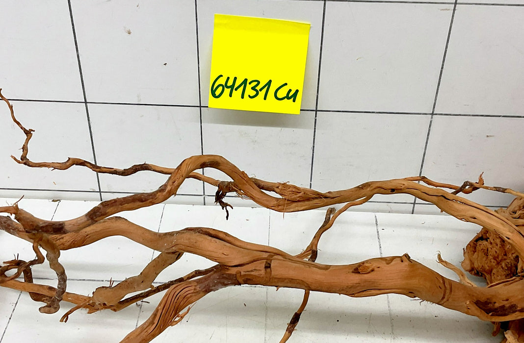 64131Cu - Curlwood Wurzel Holz