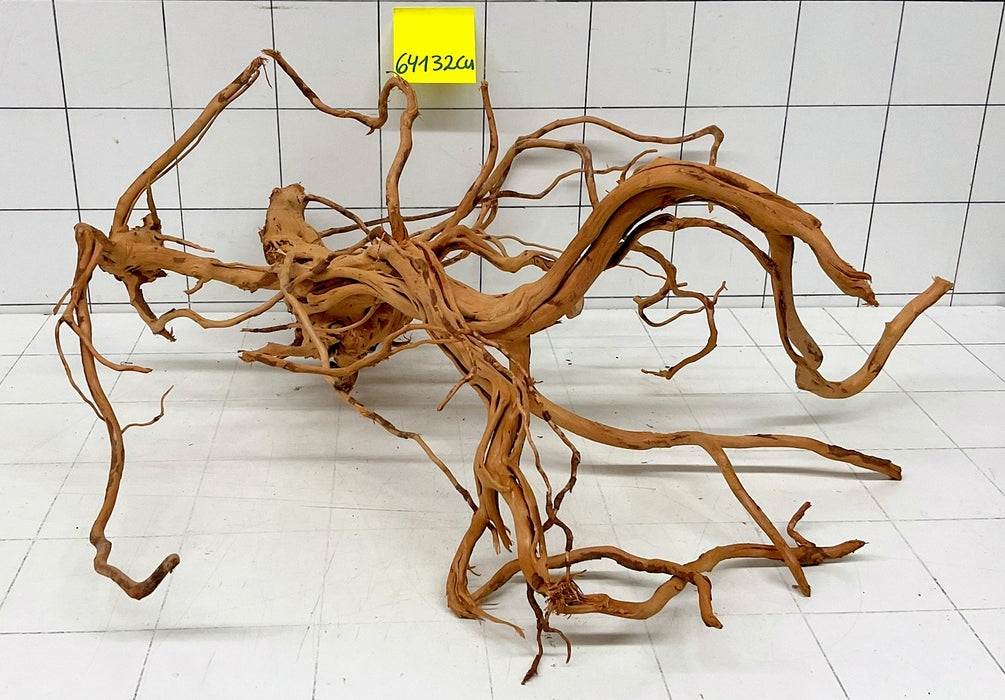 64132Cu - Curlwood Wurzel Holz