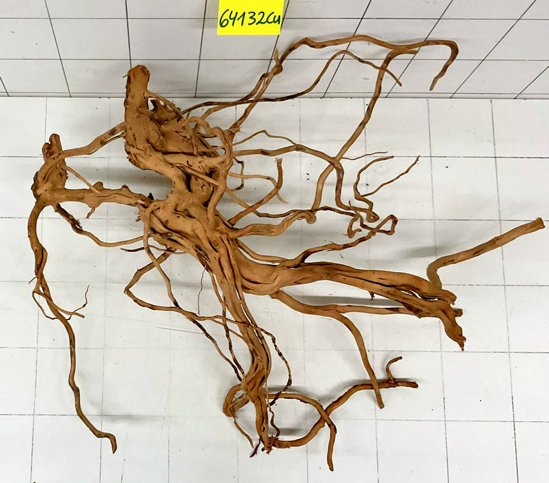 64132Cu - Curlwood Wurzel Holz