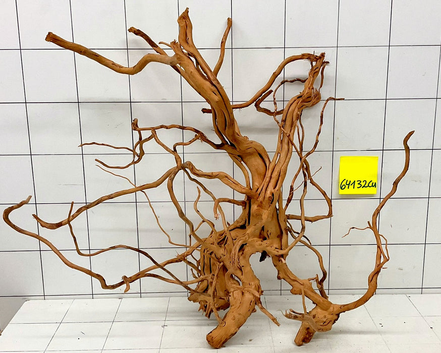 64132Cu - Curlwood Wurzel Holz