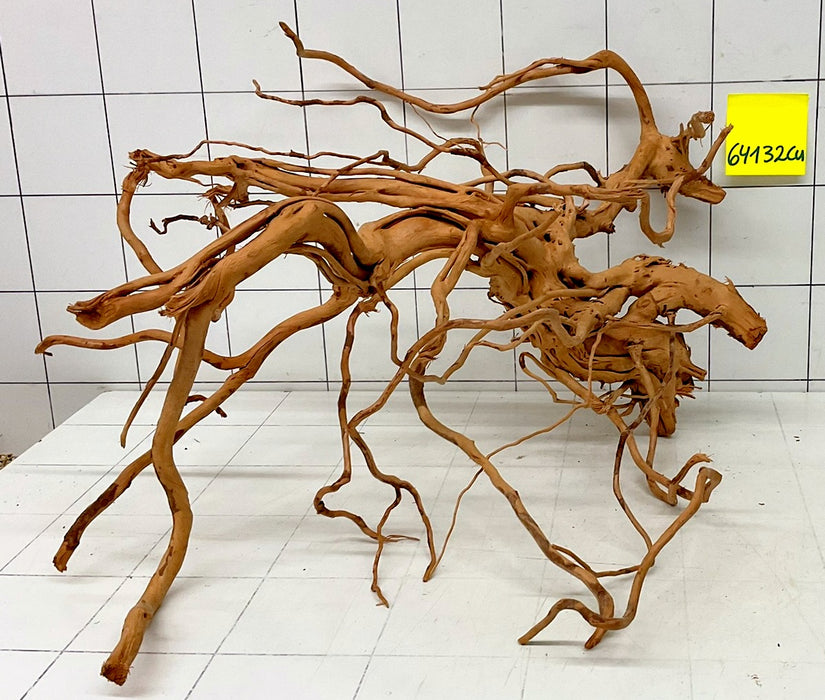 64132Cu - Curlwood Wurzel Holz