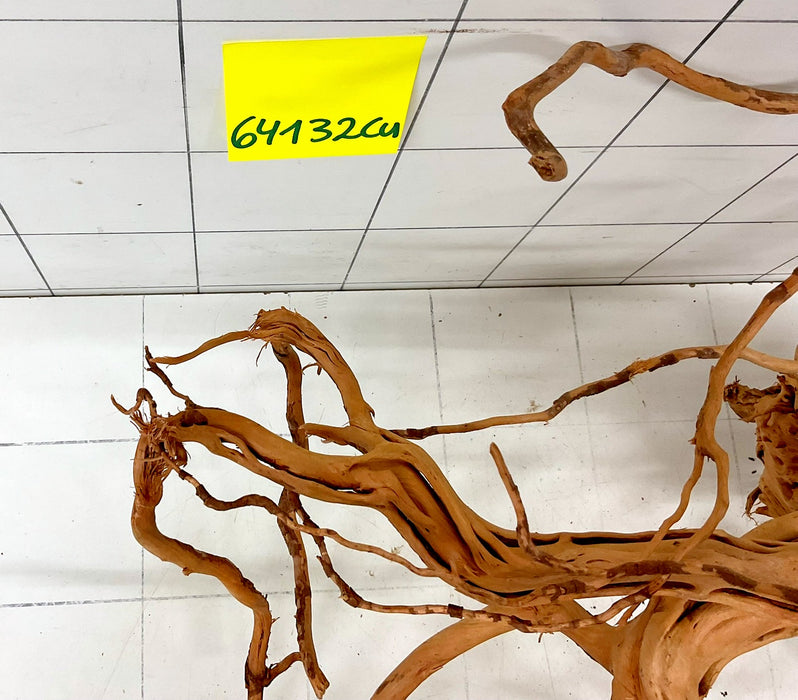 64132Cu - Curlwood Wurzel Holz