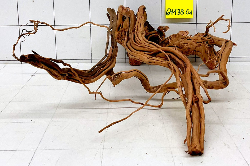 64133Cu - Curlwood Wurzel Holz