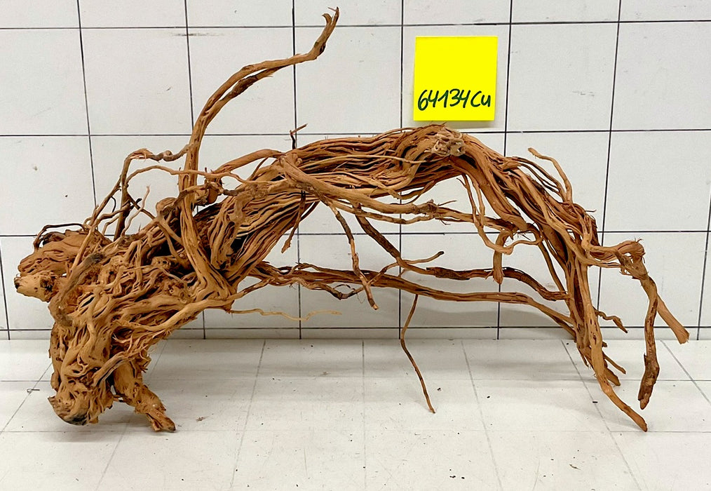 64134Cu - Curlwood Wurzel Holz