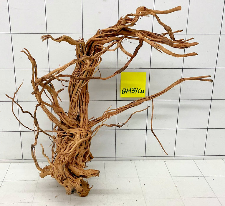 64134Cu - Curlwood Wurzel Holz