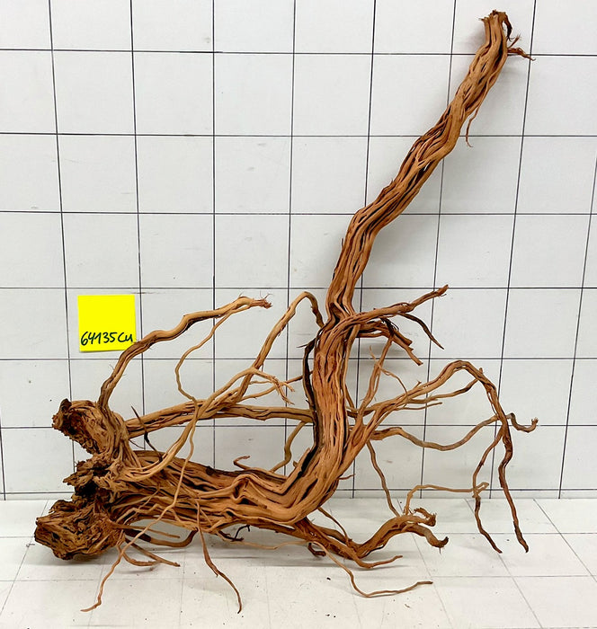 64135Cu - Curlwood Wurzel Holz