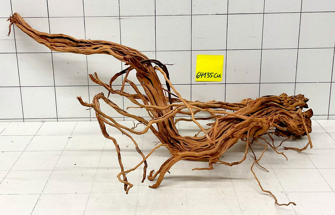 64135Cu - Curlwood Wurzel Holz