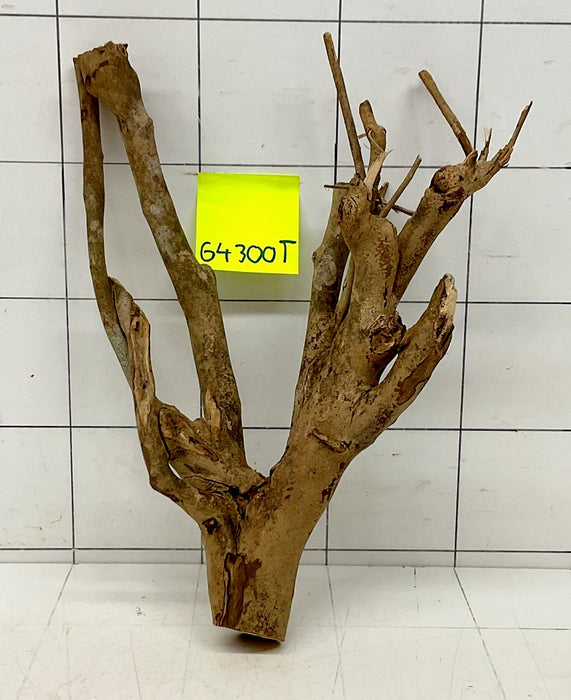 64300T Talawa Wurzel Holz