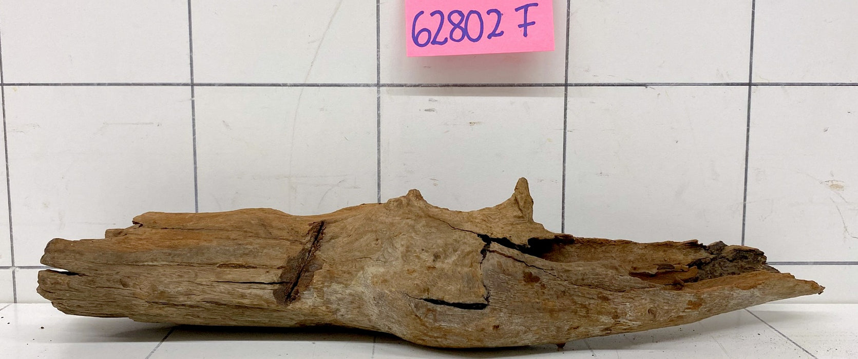 62802F Flussholz / Driftwood / Flusswurzel