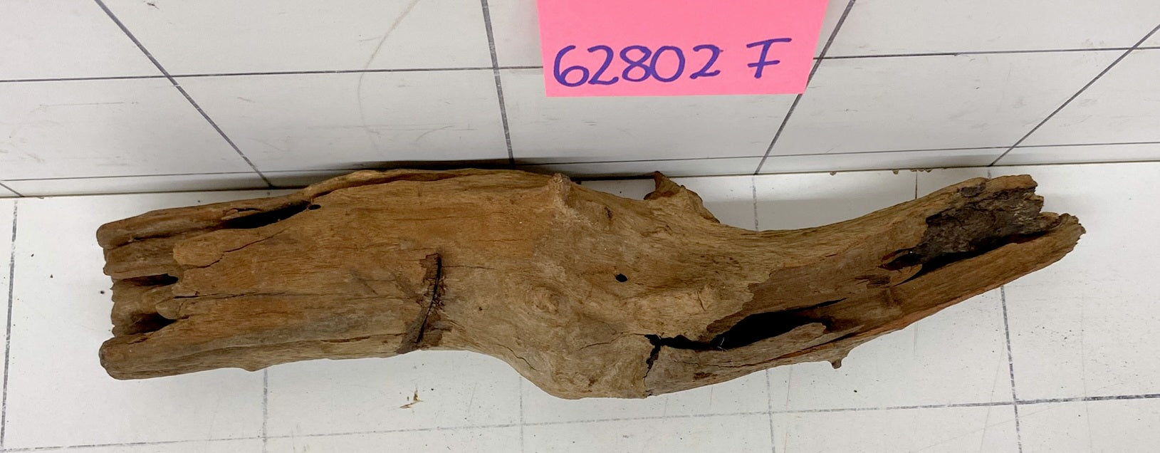 62802F Flussholz / Driftwood / Flusswurzel