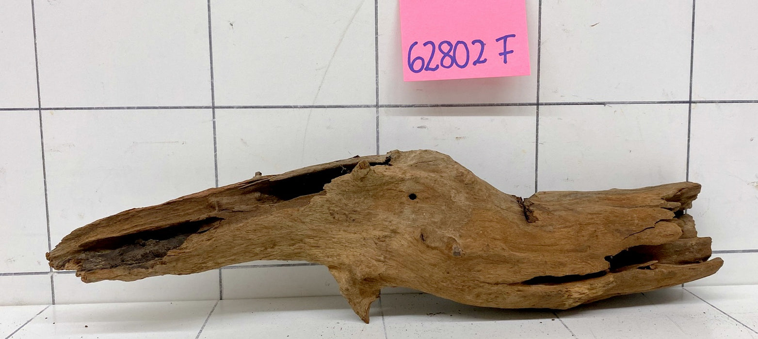 62802F Flussholz / Driftwood / Flusswurzel