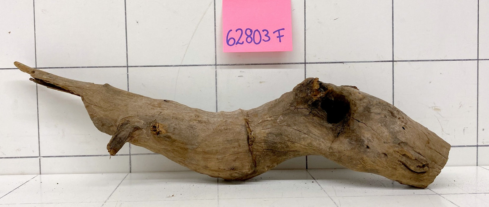 62803F Flussholz / Driftwood / Flusswurzel