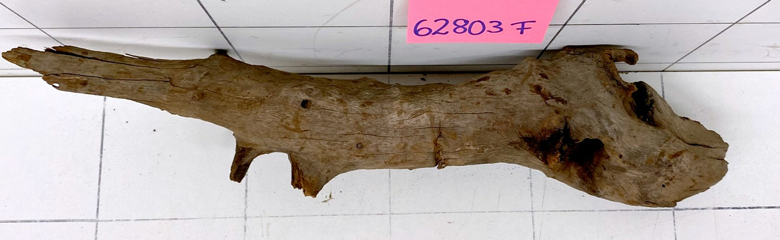 62803F Flussholz / Driftwood / Flusswurzel