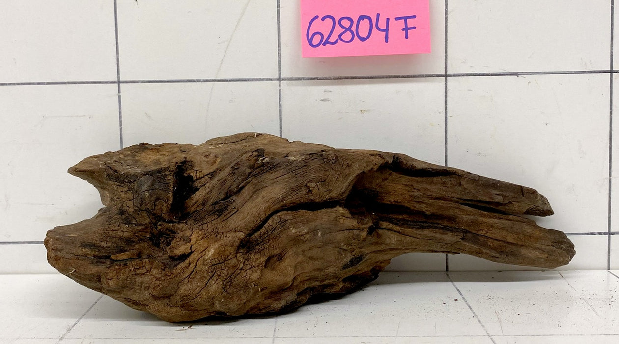62804F Flussholz / Driftwood / Flusswurzel