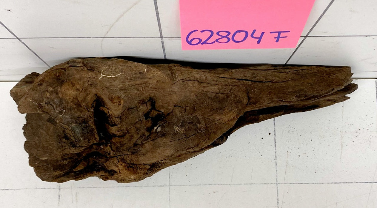 62804F Flussholz / Driftwood / Flusswurzel