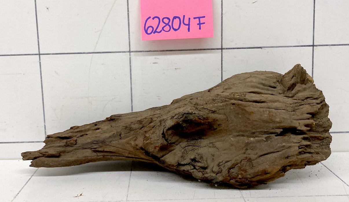 62804F Flussholz / Driftwood / Flusswurzel
