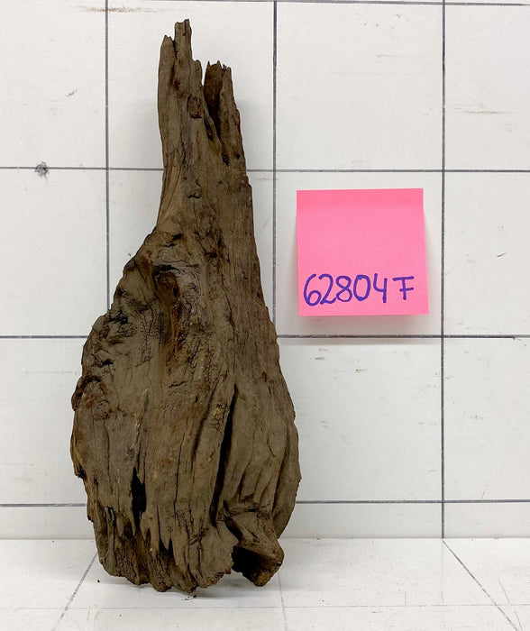 62804F Flussholz / Driftwood / Flusswurzel