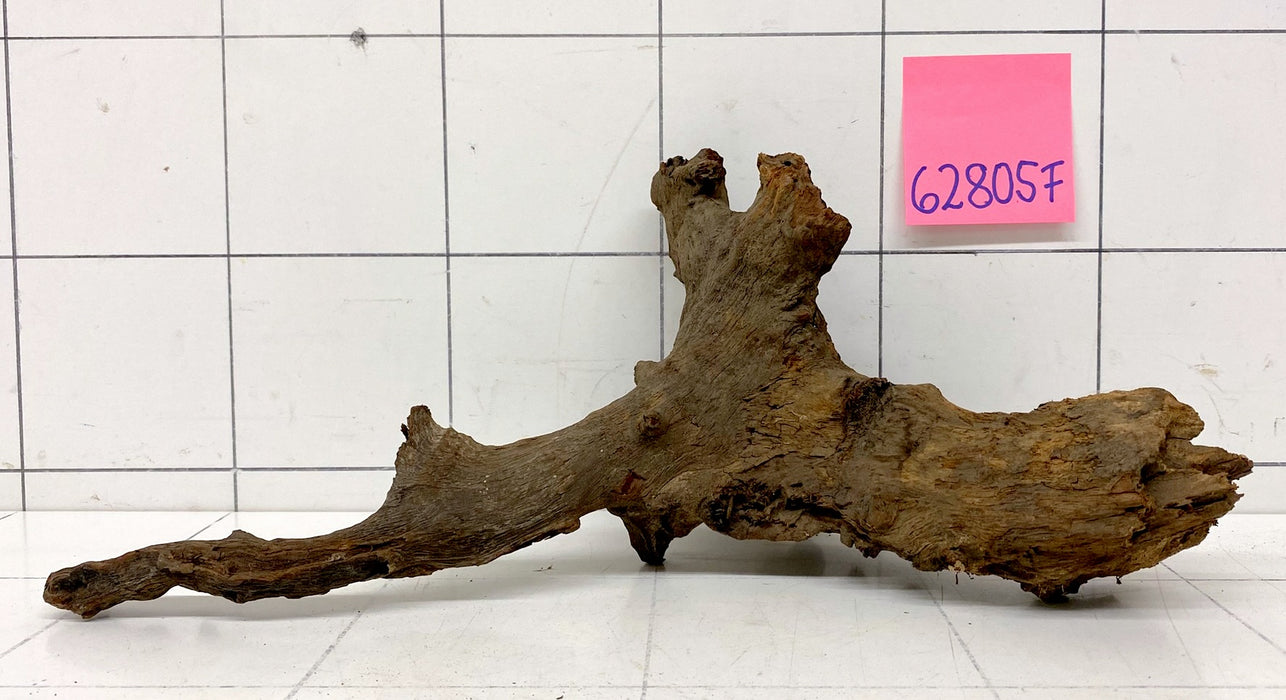 62805F Flussholz / Driftwood / Flusswurzel
