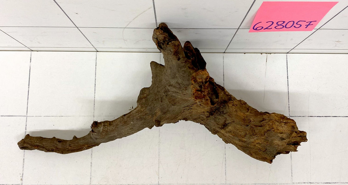 62805F Flussholz / Driftwood / Flusswurzel