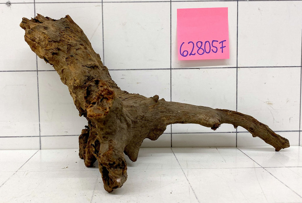 62805F Flussholz / Driftwood / Flusswurzel