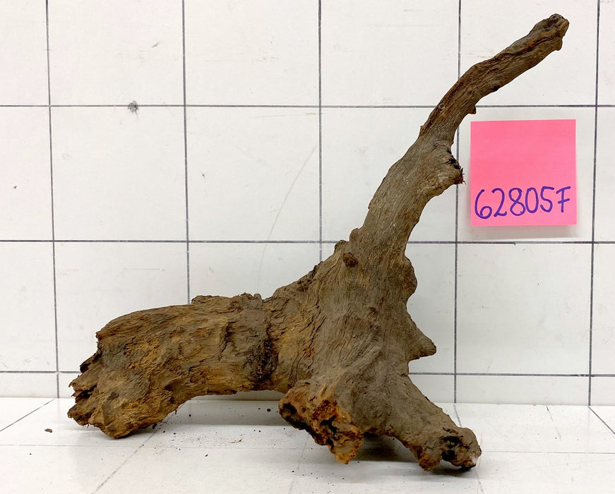 62805F Flussholz / Driftwood / Flusswurzel