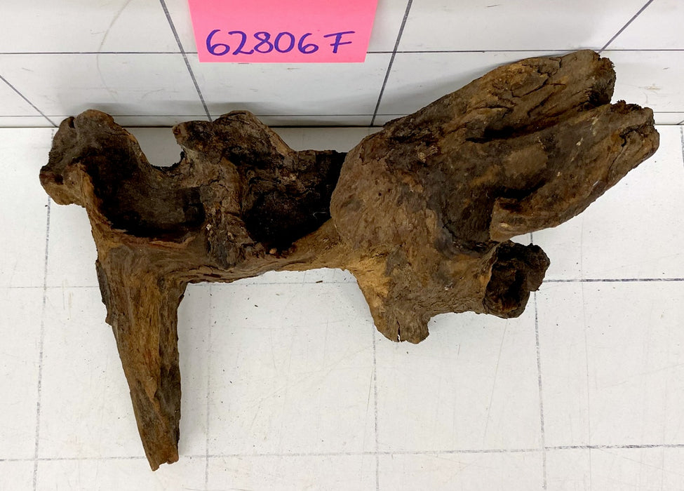 62806F Flussholz / Driftwood / Flusswurzel