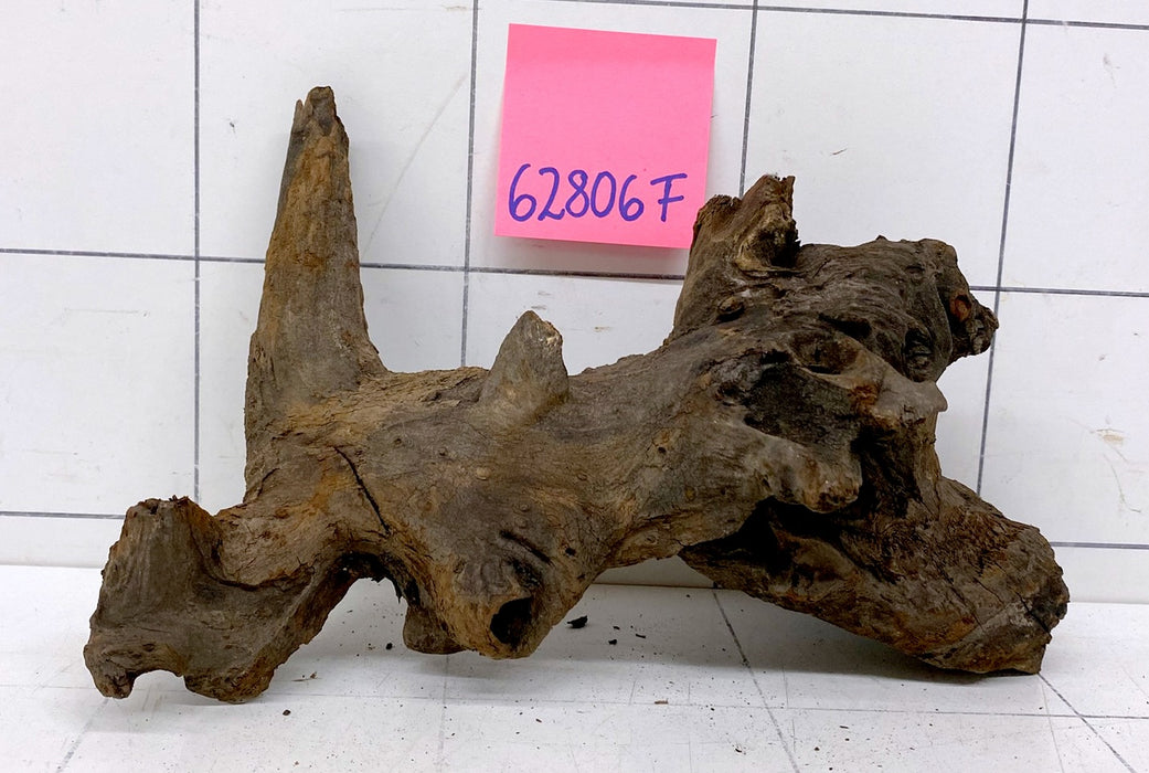 62806F Flussholz / Driftwood / Flusswurzel