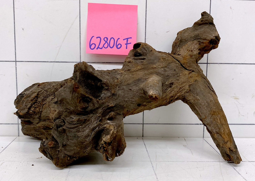 62806F Flussholz / Driftwood / Flusswurzel