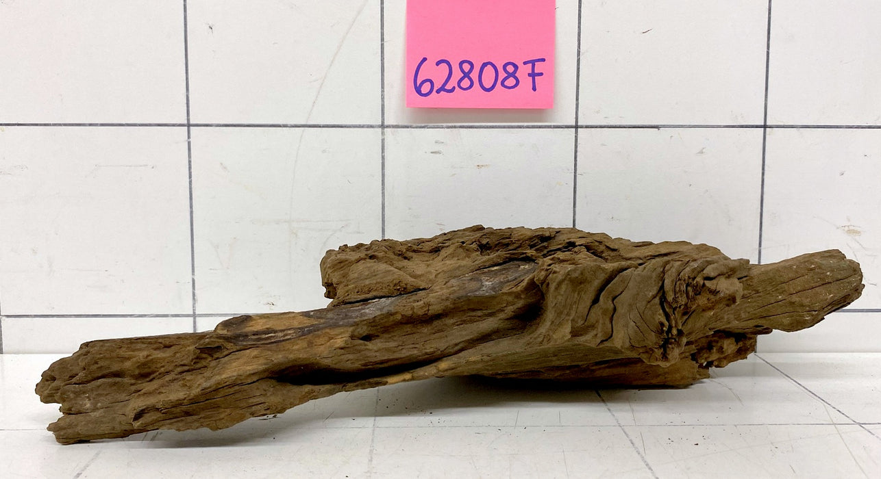 62808F Flussholz / Driftwood / Flusswurzel