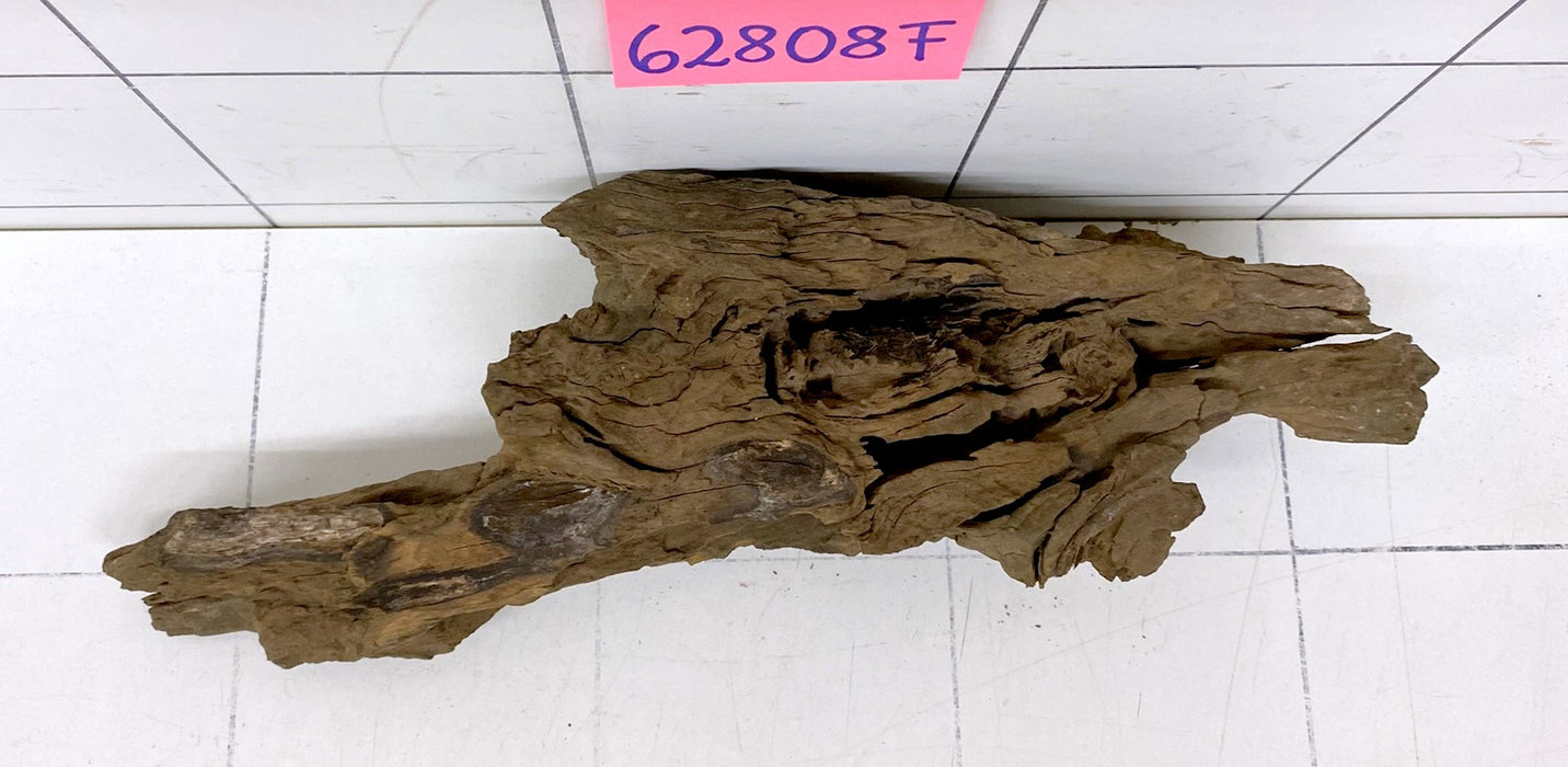 62808F Flussholz / Driftwood / Flusswurzel