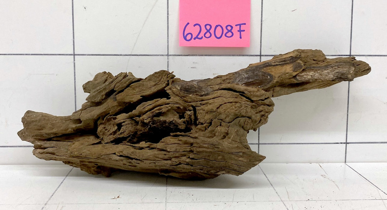 62808F Flussholz / Driftwood / Flusswurzel