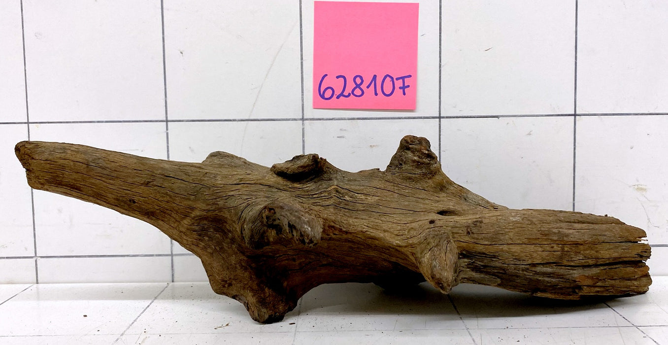 62810F Flussholz / Driftwood / Flusswurzel