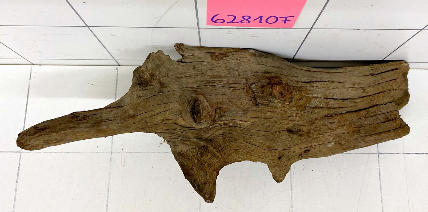 62810F Flussholz / Driftwood / Flusswurzel