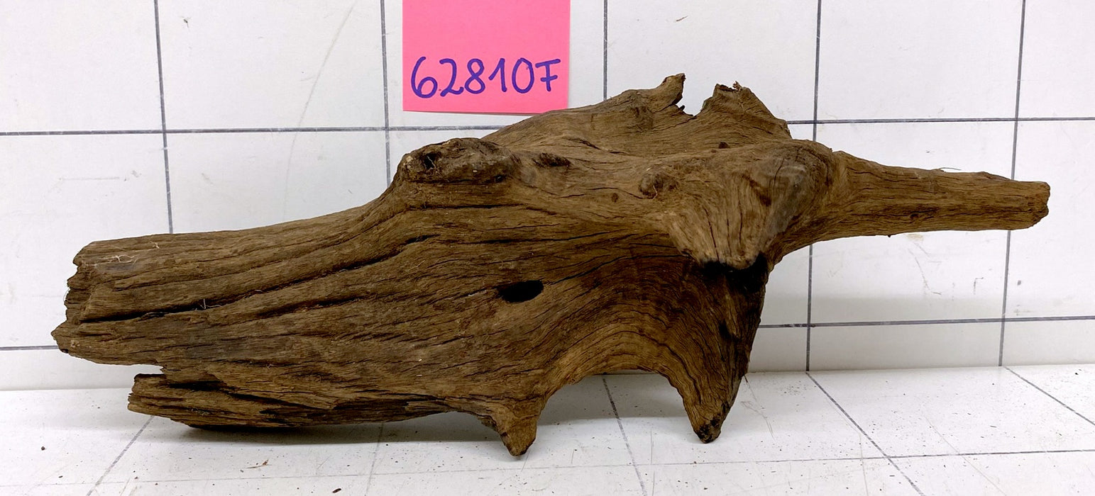 62810F Flussholz / Driftwood / Flusswurzel