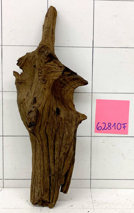 62810F Flussholz / Driftwood / Flusswurzel