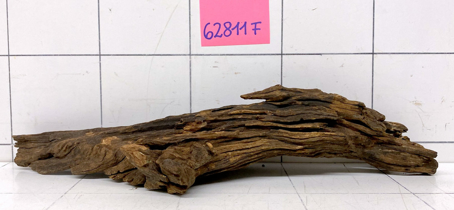 62811F Flussholz / Driftwood / Flusswurzel