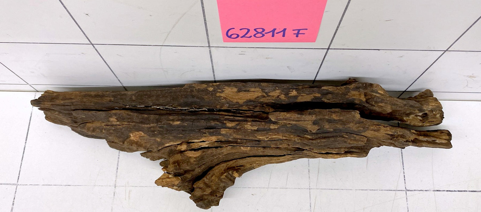 62811F Flussholz / Driftwood / Flusswurzel