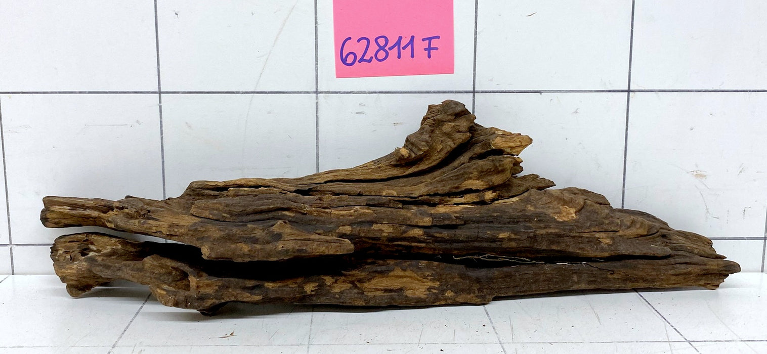 62811F Flussholz / Driftwood / Flusswurzel
