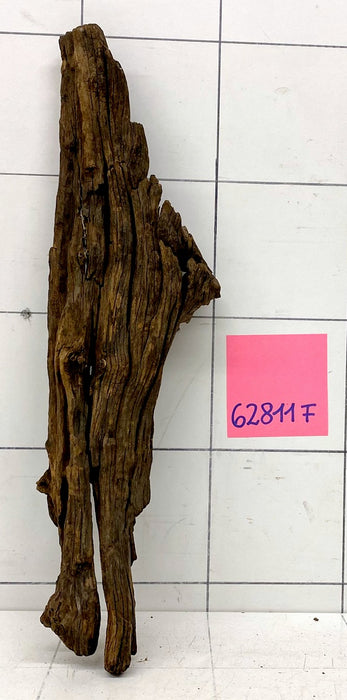 62811F Flussholz / Driftwood / Flusswurzel