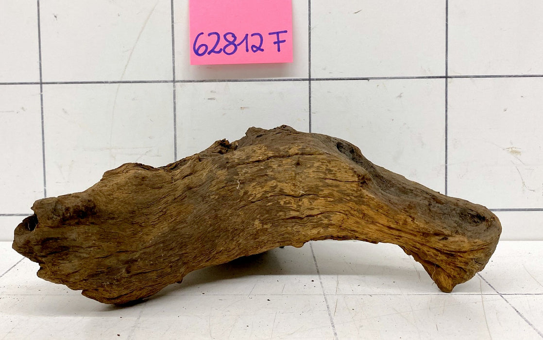 62812F Flussholz / Driftwood / Flusswurzel